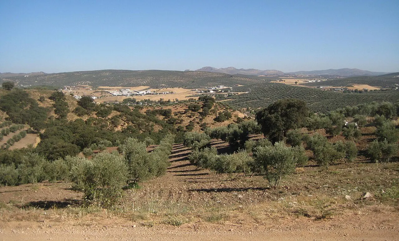Paisaje de olivares y sierras de Villanueva del Trabuco