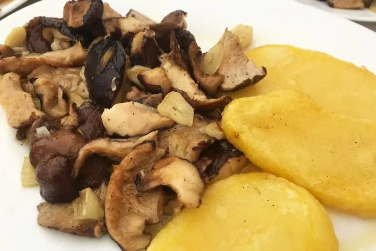 Plato con setas servido en Venta El Cortijuelo